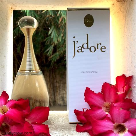 dior j adore perfume|what does j'adore smell like.